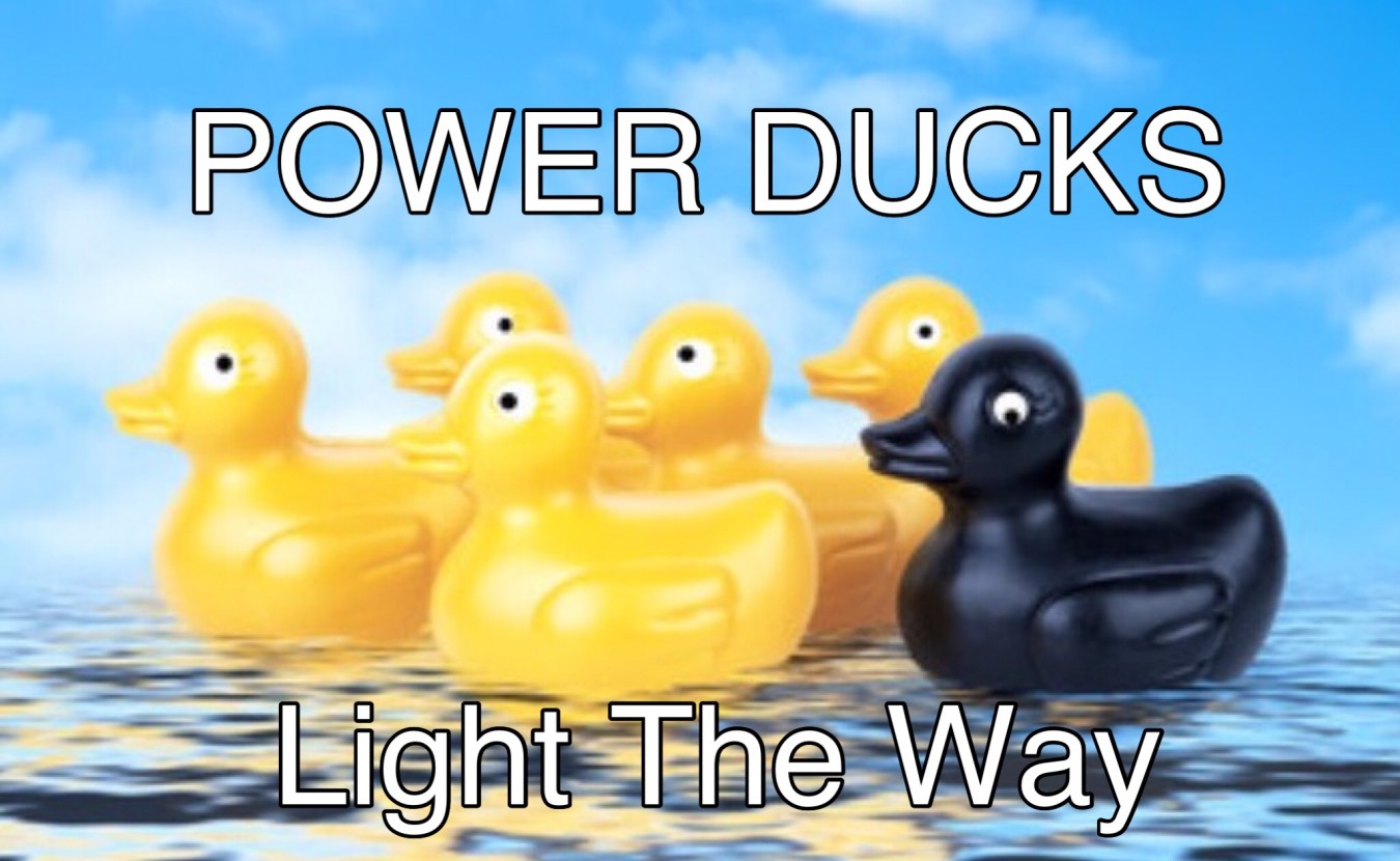 POWER DUCKS