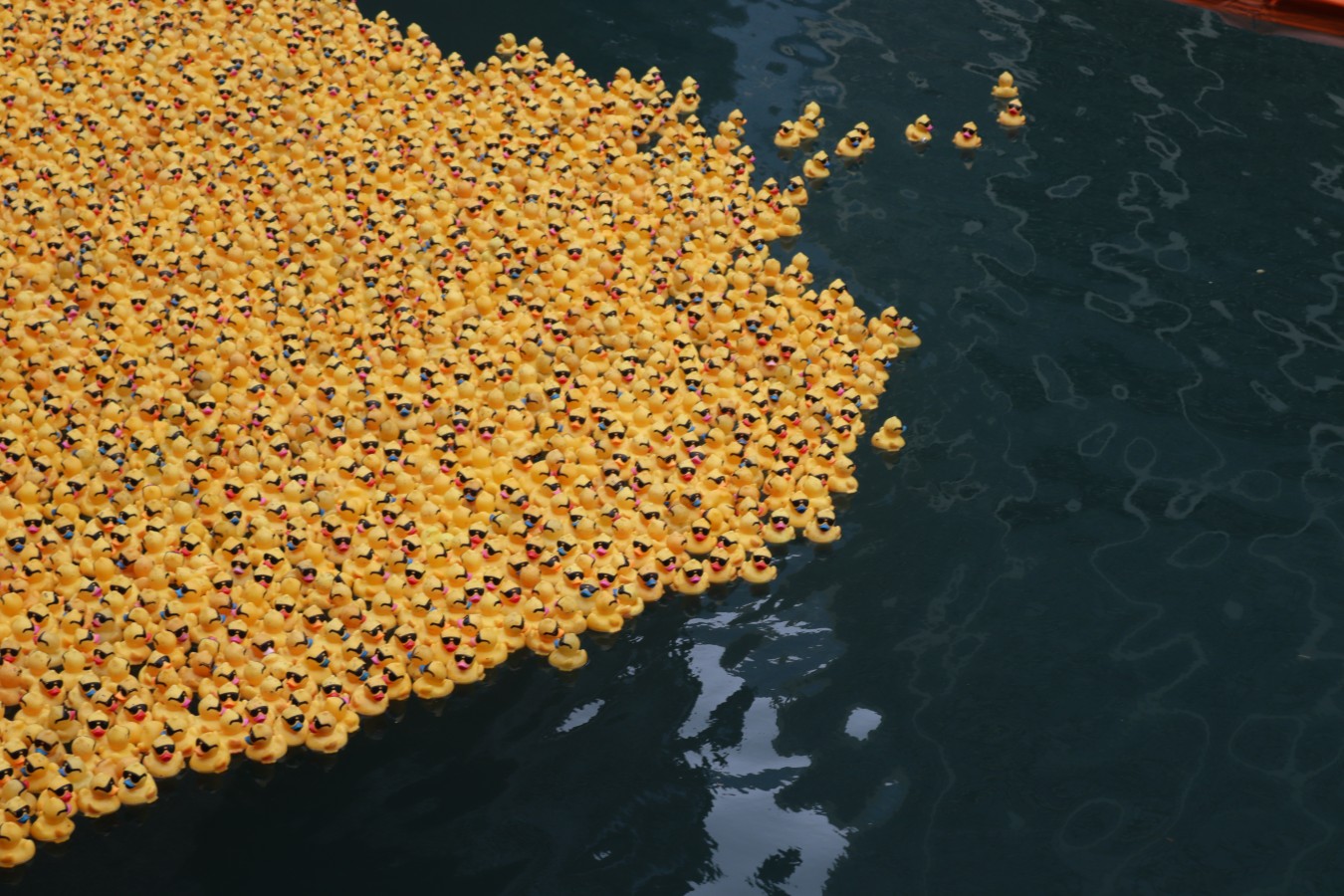 Leaders of the Quack