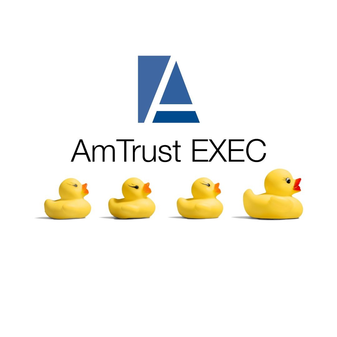 AmTrust EXEC