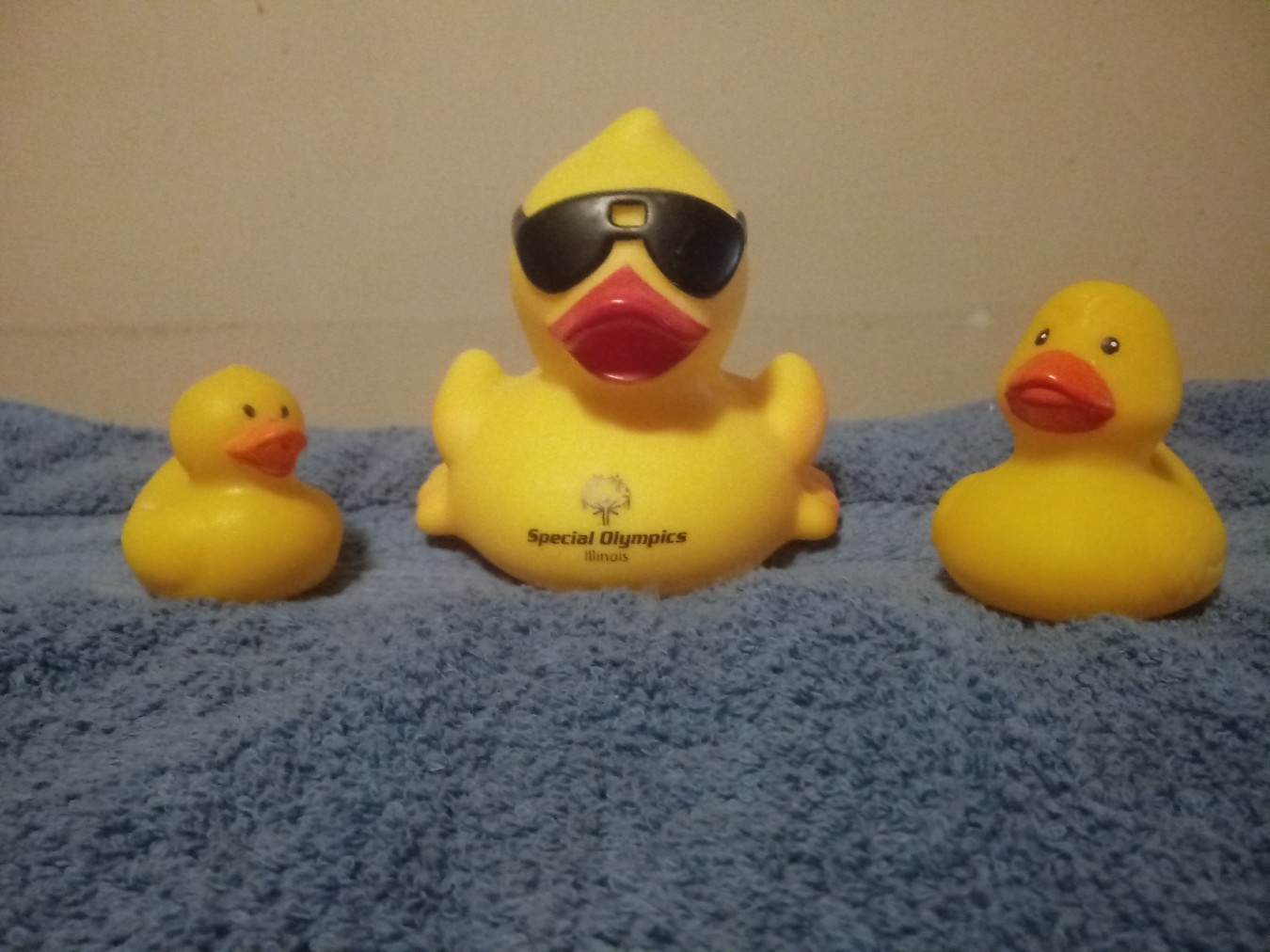 Chicago's All Heart Duckies