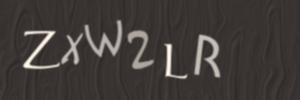 Please contact us form assistance if you are unable to view the CAPTCHA.