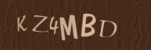 Please contact us form assistance if you are unable to view the CAPTCHA.