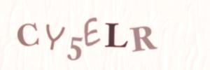 Please contact us form assistance if you are unable to view the CAPTCHA.