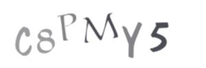 Please contact us form assistance if you are unable to view the CAPTCHA.