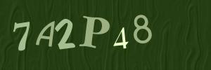 Please contact us form assistance if you are unable to view the CAPTCHA.