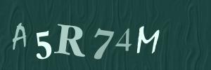 Please contact us form assistance if you are unable to view the CAPTCHA.