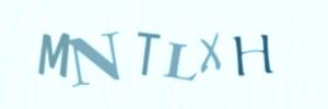 Please contact us form assistance if you are unable to view the CAPTCHA.