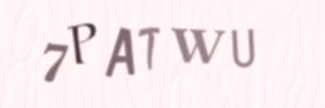 Please contact us form assistance if you are unable to view the CAPTCHA.