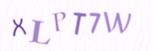 Please contact us form assistance if you are unable to view the CAPTCHA.