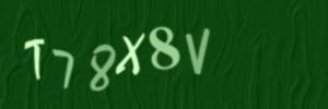Please contact us form assistance if you are unable to view the CAPTCHA.