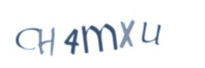 Please contact us form assistance if you are unable to view the CAPTCHA.