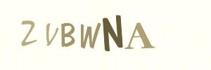 Please contact us form assistance if you are unable to view the CAPTCHA.