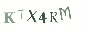 Please contact us form assistance if you are unable to view the CAPTCHA.